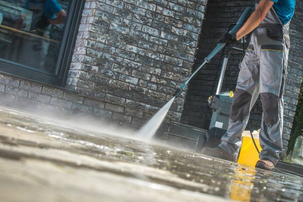 Animal Enclosure Cleaning in Port Norris, NJ