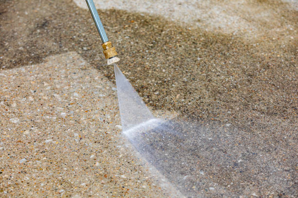 Best Pool Deck Cleaning  in Port Norris, NJ