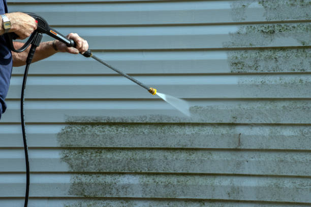 Best Gutter Cleaning  in Port Norris, NJ