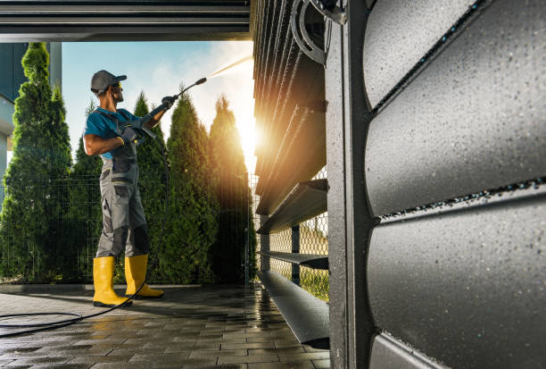 Best Driveway Pressure Washing  in Port Norris, NJ