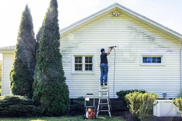 Best Roof Washing  in Port Norris, NJ