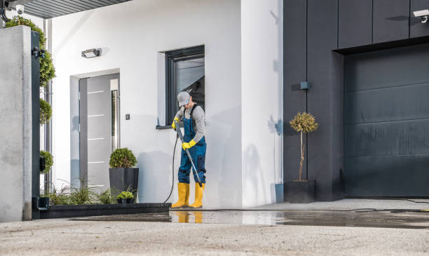 Best Oil Spill Cleanup  in Port Norris, NJ